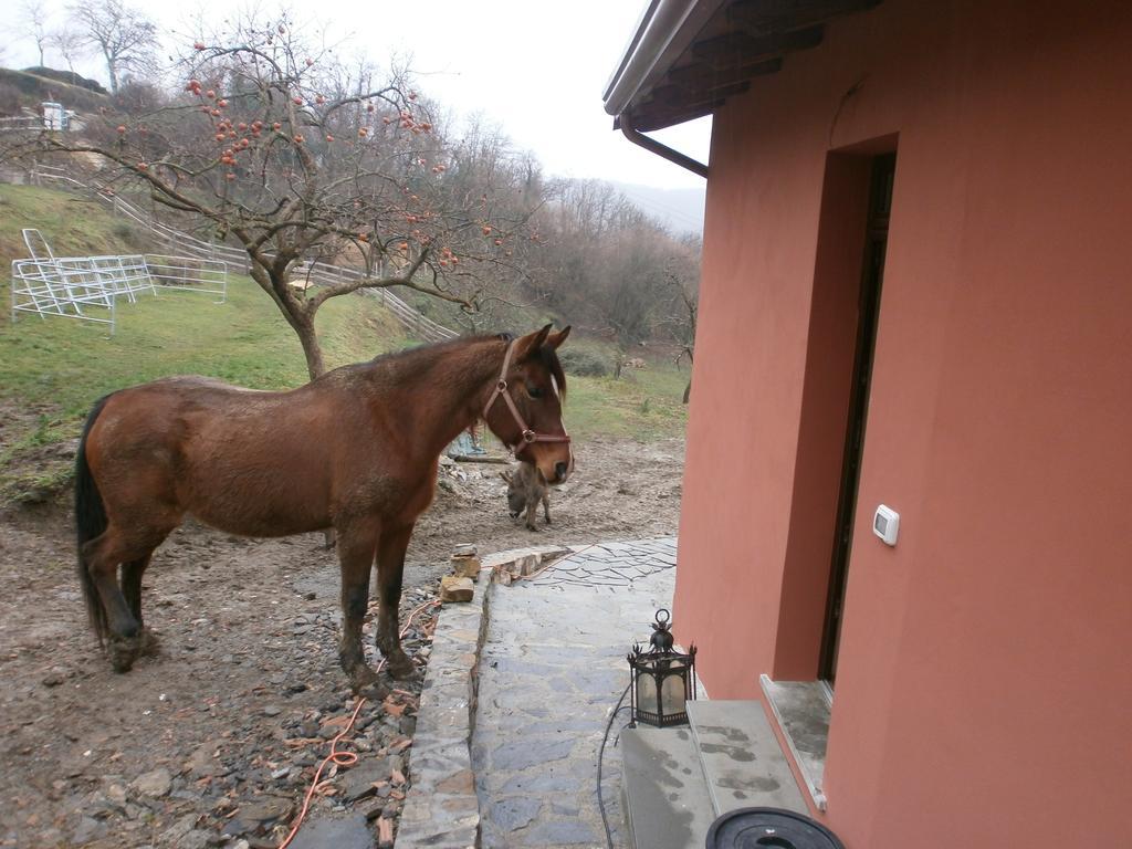 I Poggi Di Grace Fivizzano Exterior foto